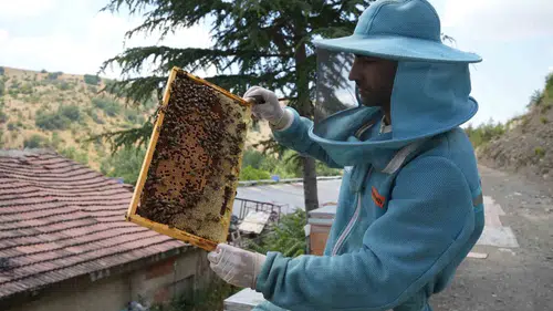 Ankara kanyonunda dört kuşaklık bal üretimi rekor kırdı