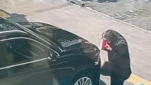 Karslı Neriman Teyze'nin bayrak sevgisi Valiyi harekete geçirdi