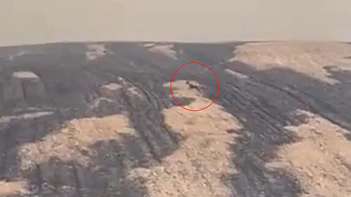 Çanakkale yangınından geriye kalan acı tablo