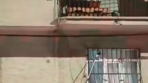 Elazığ’da apartman penceresine tırmanan yılan mahalleliyi sokağa döktü