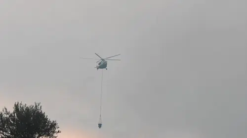 Aydın Çine orman yangınında havadan söndürme çalışmaları tekrar başladı