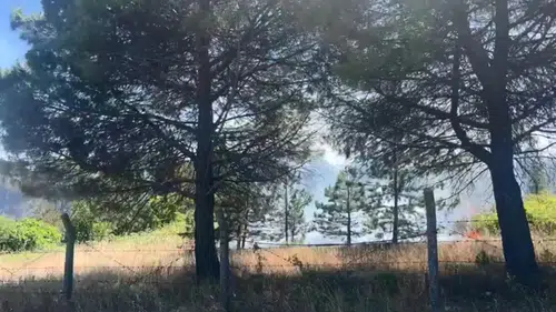Çatalca’da otluk alanda çıkan yangın ağaçlara sıçradı