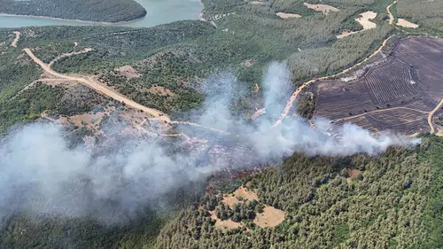 Tekirdağ Şarköy'de anız yangını ormana sıçradı