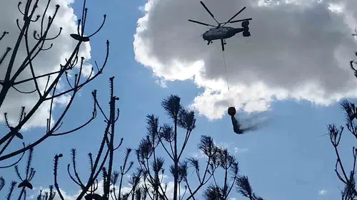 Kırklareli Babaeski’de orman yangını korkuttu