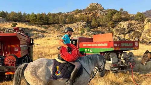 Pamukkale yangınında atlı jandarma desteği