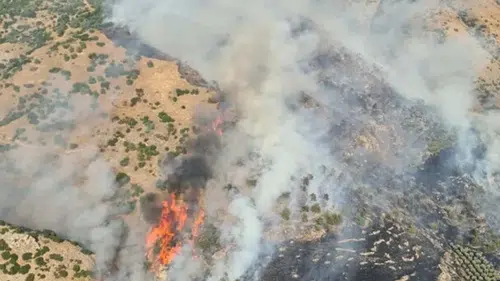 Pamukkale travertenleri yakınında orman yangını paniği