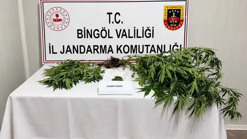 Bingöl’de jandarma operasyonlarında 6 firari hükümlü yakalandı