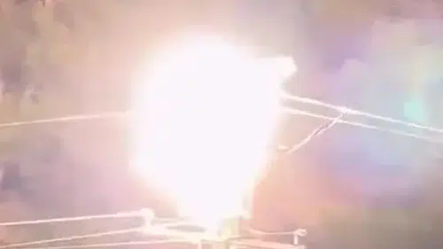 Mersin'de leyleklerin acı dolu anları kameraya yansıdı