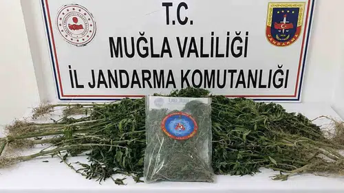 Muğla’da uyuşturucu operasyonu 33 kişi hapse girdi