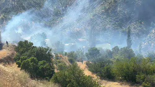 Adıyaman Pınarbaşı köyünde örtü yangını paniği