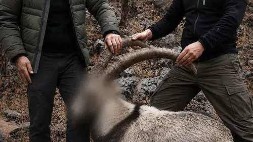 Siirt’te altı yıl önce vurulan yaban keçilerinin hesabı soruldu