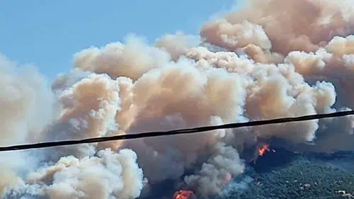 Çanakkale ormanları iki ayda kül oldu