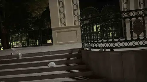 Eskişehir’de parkta bıçaklı hesaplaşma