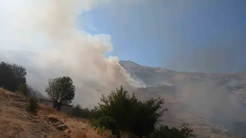 Malatya Pütürge’de arazi yangınına karşı zamana karşı yarış