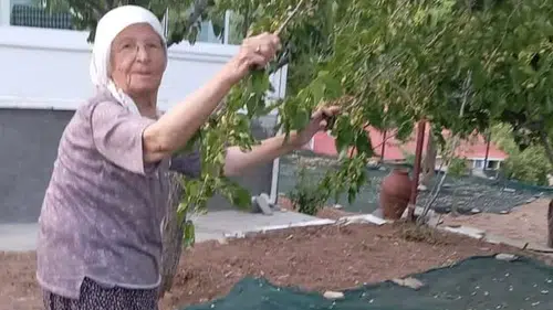 Malatya’da 85’lik çift dut pekmezini geleneklerle yaşatıyor