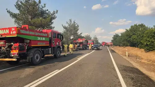 Edirne Meriç’teki orman yangını tehlikesi sona erdi