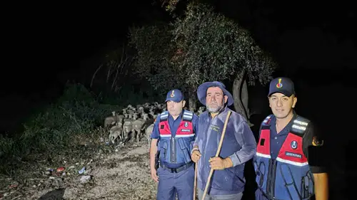 Bilecik'te kaybolan çoban ve 100 koyun bulundu