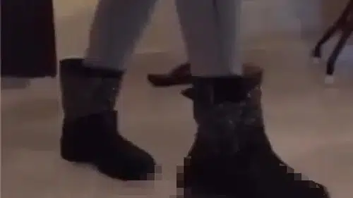 15 Yıl Önceki Kaplumbağa Videosu Sahibini Buldu, Polis Kapısını Çaldı