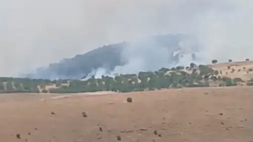 Pütürge’de orman yangını paniği