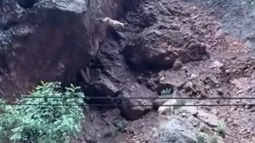 Tunceli'nin sarp kayalıklarında dağ keçilerinin şaşırtan atlayışları