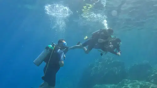 Marmaris’te su altı keşfi Turistler için yeni rota
