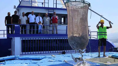 Hatay’ın balığı sofraları Avrupa’da kuruyor