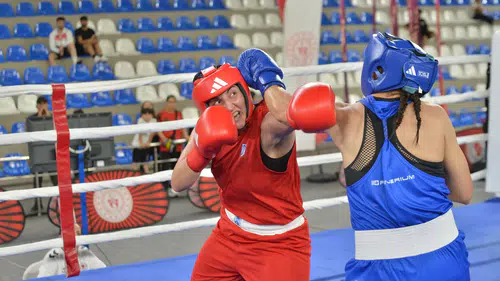 Rize'de ringler şampiyonlara doydu 59 ilden 365 boksör kıyasıya yarıştı
