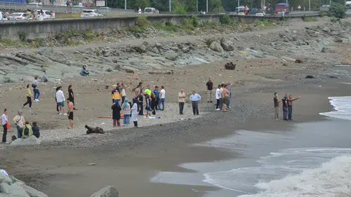Rize'de iki kardeşi deniz dalgası ayırdı Biri öldü, diğeri aranıyor