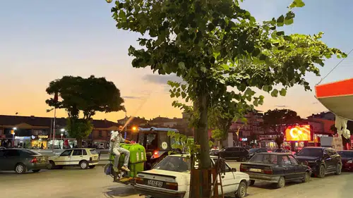 Alaca'da yaz ayları için sinek ve haşere seferberliği başladı