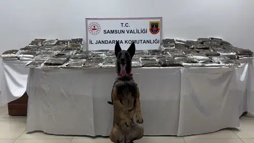 Samsun'da tır operasyonu 132 kilo esrar ele geçirildi
