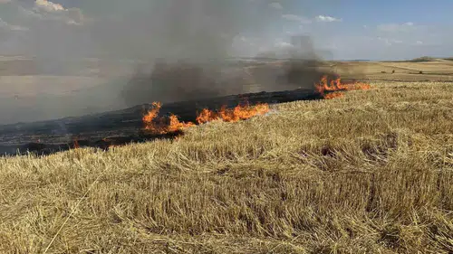 Çorum Alaca’da 150 dönüm arazi küle döndü