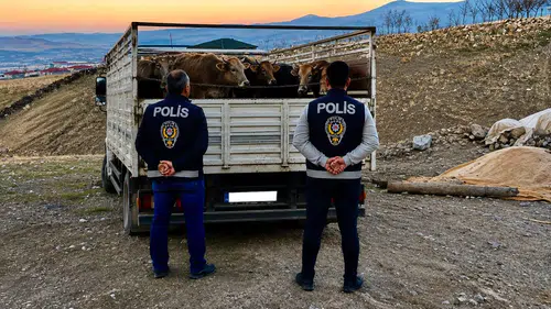 Kırşehir'de mandıra baskını yapan hırsızlar Ankara'da yakalandı