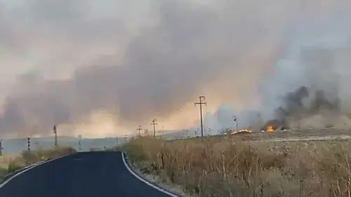 Polatlı'da bir kişi çakmakla 250 dönümlük alanı ateşe verdi