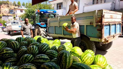 Çemişgezek topraklarından gelen doğal lezzet Hıdıroz Karpuzu tezgahlarda