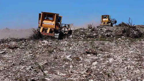 Aliağa ve Foça ormanları 1 milyon yeni fidanla canlanıyor
