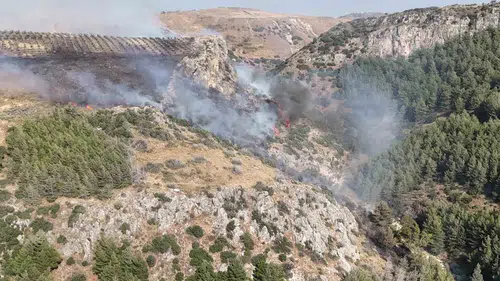 Hatay'da orman yangını korkusu bitti