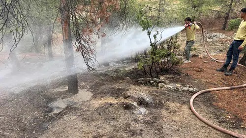Kilis'te yıldırım düşen ormanlık alanda yangın paniği