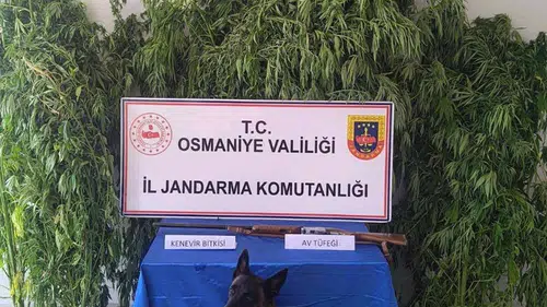 Osmaniye jandarmasından bir haftalık asayiş bilançosu