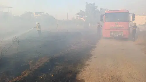 Hassa'da zeytin ağaçları alevlere teslim oldu