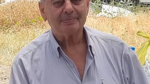 Samsun'da ayva ağacı kavgası cinayetle bitti