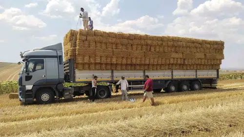 Tekirdağlı çiftçi Aydın’daki yangın mağdurlarına el uzattı