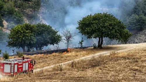 Karabük’te anız yangını ormanlık alana ulaşmadan durduruldu