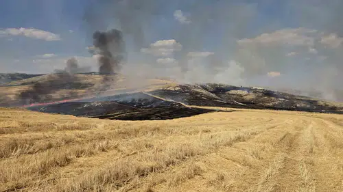 Ankara Elmadağ kırsalında anız yangını paniği