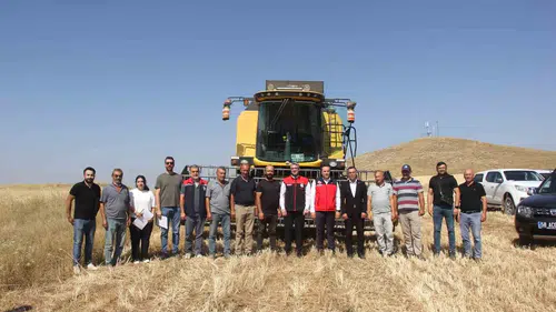 Sivas tarlalarında yeni buğday dönemi başladı