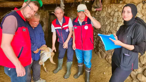 Bolvadin’de daha verimli sürülerin peşine düşüldü