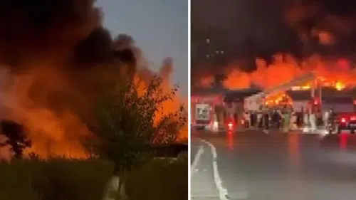 Organize Sanayi Bölgesi'nde alevler yükseliyor: İtfaiye ekiplerinden yoğun müdahale