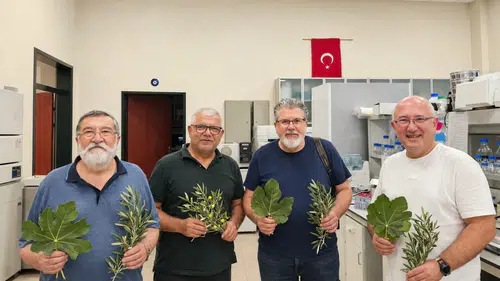 Aydın’da bitkilerin şifasını laboratuvar ortamında keşfediyorlar