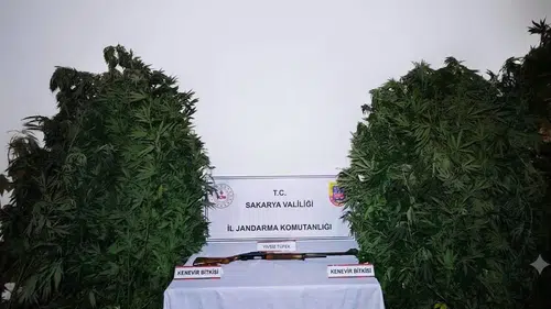 Sakarya jandarmasından zehir tacirlerine eş zamanlı darbe