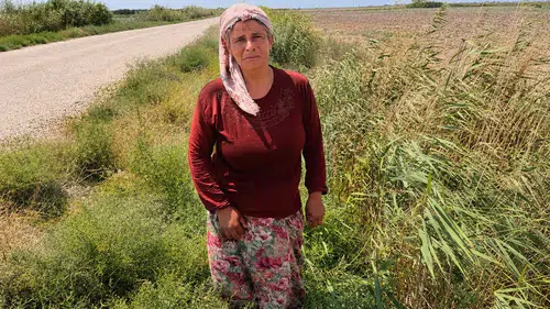 Hataylı Şirin’in tek geçim kaynağı olan hayvanları birer birer öldü