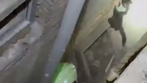 Burdur'da itfaiyeyi şaşırtan kedi operasyonu
